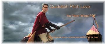 banner for Quidditch Pitch Love
