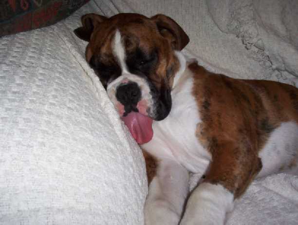  sleeping