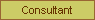 Consultant