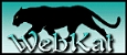 WEBKAT INTERNET SERVICES- your 1 stop for all your internet needs!