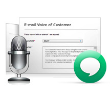 Description: Description: Description: Voice of Cutomer