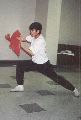 Steve Kam- Click for larger image