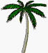 noleaf.gif (7967 bytes)
