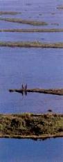 Loktak Lake