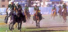 Sagol Kanglei Polo