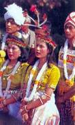 Traditional Singers