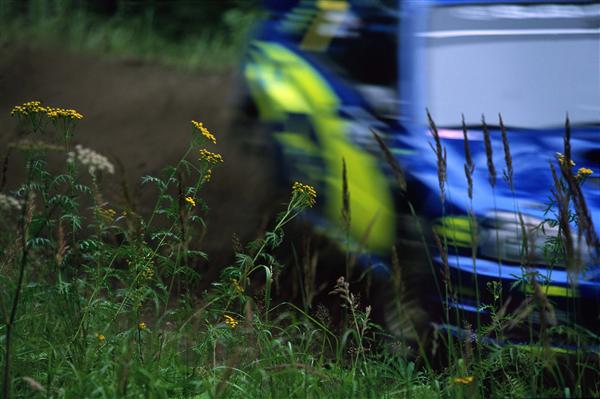 WRC (14/04/04)