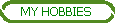 MY HOBBIES
