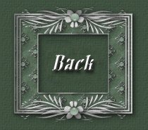 Return To The Main Page