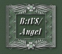 Buffy: the Vampire Slayer & Angel: the Series Stories