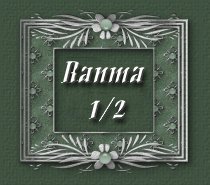 Ranma 1/2 Stories