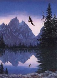 soaring eagle