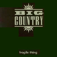 Fragile Thing #2 cover