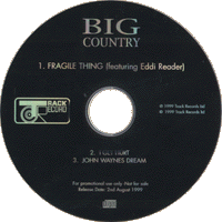 Fragile Thing promo