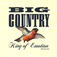 King of Emotion promo cover