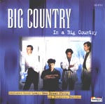 In A Big Country cover