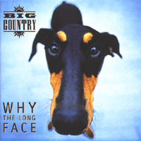 Why the Long Face album cover