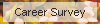 Career Survey
