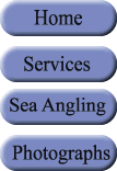 buttonsphotographs.gif (4129 bytes)