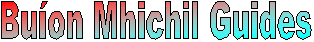 Bu�on Mhichil Guides - Inchicore