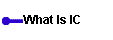         What Is IC 