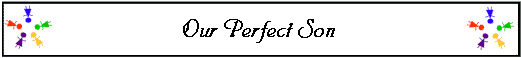  Our Perfect Son 