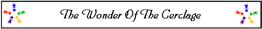  The Wonder Of The Cerclage 