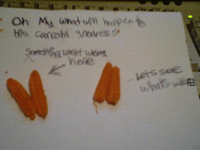Krystal's Carrot Hospital