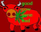 MOO!!!!