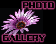 PHOTO GALLERY