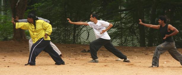 Shaolin Fist Training