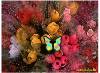 holi card, holi e-greeting