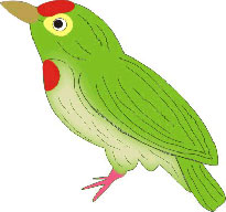 Wildlife Organisations