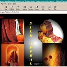Indian web designer, Indian web developer, Indian wbsite designer