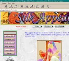 web designer India, web developer India, website designer india