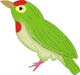 freelance Indian coreldraw artist, coreldraw sample 10