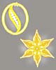 Indian graphics designer, jewellery design sample in coreldraw