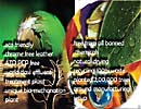 graphic designer mumbai, photoshop desigenr mumbai,  photoshop sample 10
