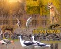 freelance web designer & graphic designer in India, photoshop sample 46