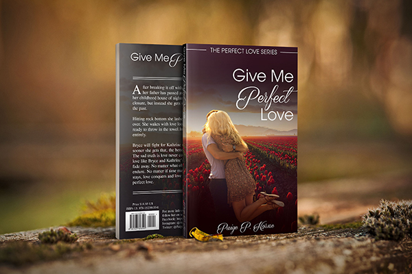 Perfect Love Book Cover