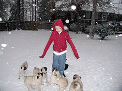 Snow day!