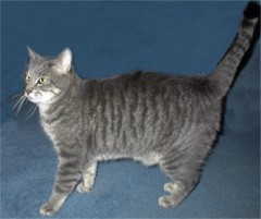Picture of Peter