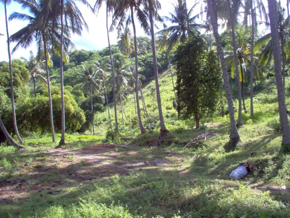 Flatland model for sale next Batu Bolong Temple