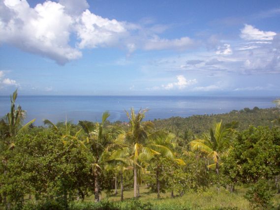 Flatland for sale 19000sqm | 1,90 hectare the best ocean view