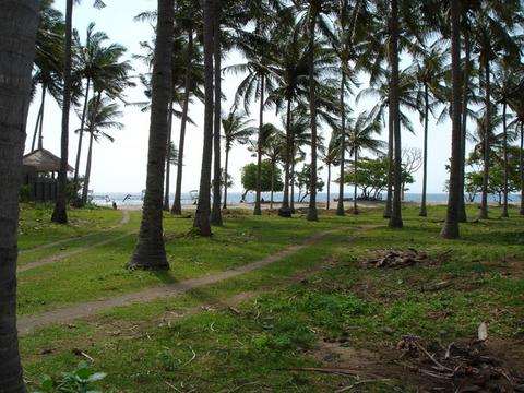 property lands for sale next and after Holiday Inn Resort Hotel Senggigi beach Lombok