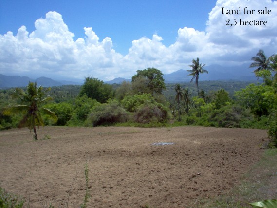 Property Lands for sale next Medana Resort & Restaurant and The Oberoi hotel Lombok Indonesia