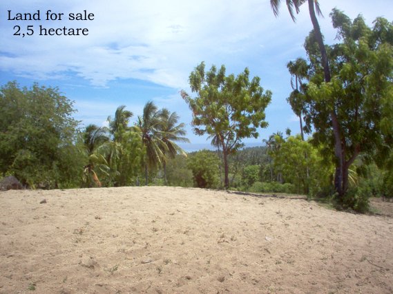 Property Lands for sale next Medana Resort & Restaurant and The Oberoi hotel Lombok Indonesia