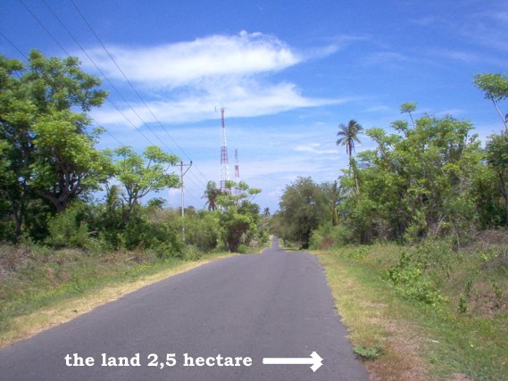 Property Lands for sale next Medana Resort & Restaurant and The Oberoi hotel Lombok Indonesia