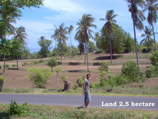 Property Lands for sale next Medana Resort & Restaurant and The Oberoi hotel Lombok Indonesia