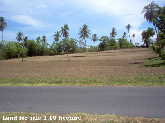 Property Lands for sale next Medana Resort & Restaurant and The Oberoi hotel Lombok Indonesia